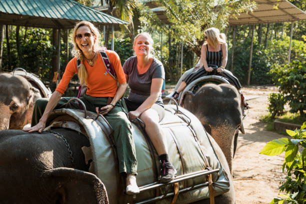 Happy Tourists Riding Indian Elephants A small group of caucasian women can be seen sitting on indian elephants, they are having fun together on their trip to Kerala, India. They are wearing backpacks. periyar wildlife sanctuary stock pictures, royalty-free photos & images