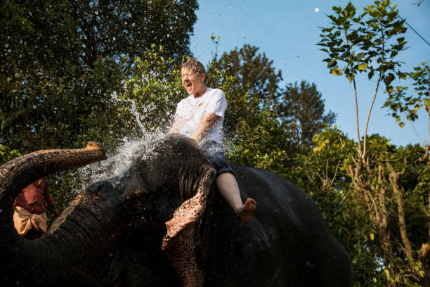 istock Playful Elephant and Tourist 1134245569