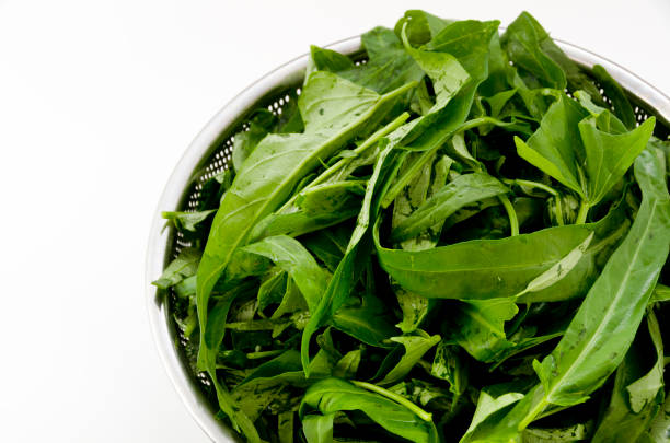 istock Cut vegetables ready for cooking, Chinese Morning Glory 1134246000