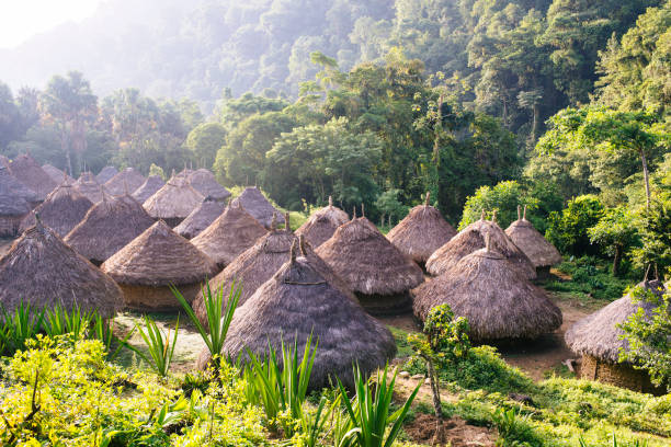 village des indiens kogi dans les montagnes de la sierra nevada-santa marta/magdalena/colombie - magdalena photos et images de collection