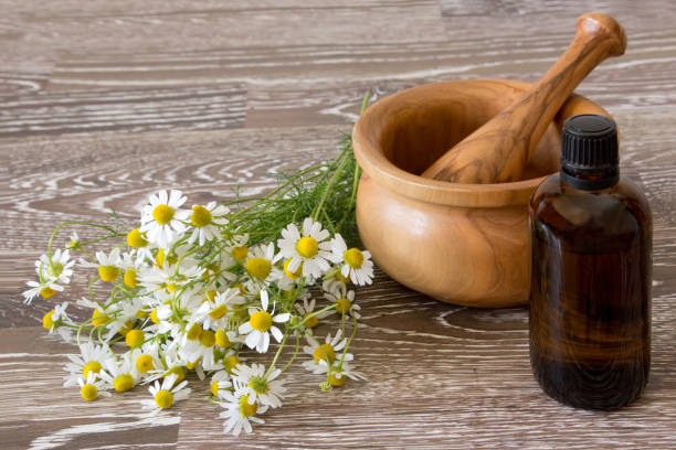 istock fresh chamomile with brown bottle and mortar and pestle 1134246368