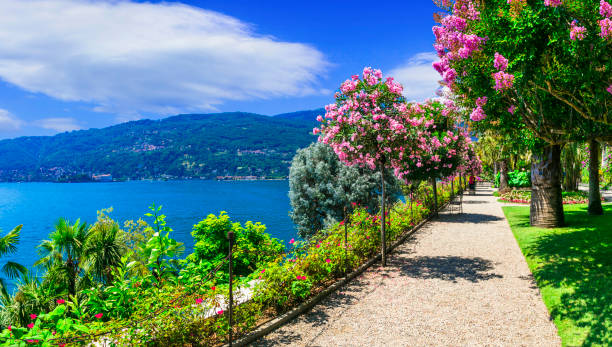lago panorámico lago maggiore-hermosa "isola madre" con jardines florales ornamentales. italia - islas borromeas fotografías e imágenes de stock