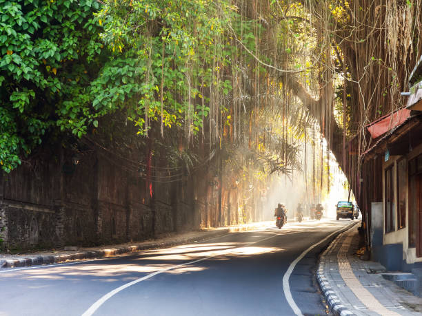 Curving street through Ubud town, Bali, Indonesia Curving street through Ubud town, Bali, Indonesia with a motorcyclist and vehicles and trees overhanging the road, golden light at the far end ubud photos stock pictures, royalty-free photos & images