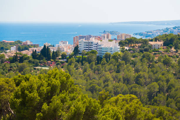 istock Aerial View over Palma de Mallorca 1134248473