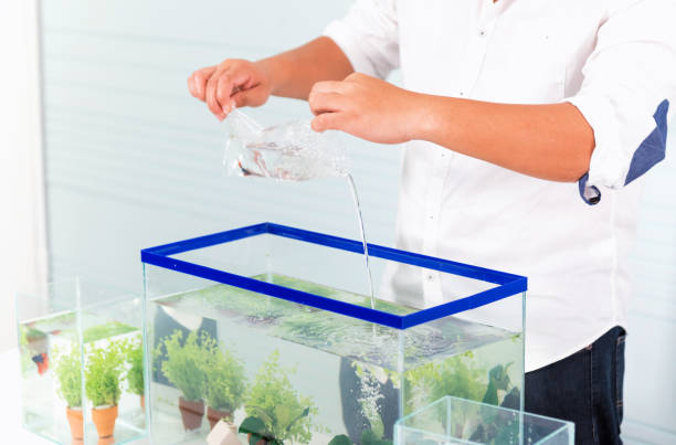 istock Aquarium for pet and hobby at home. Holding a plastic bag with new fish. 1134248633