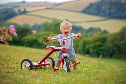 Cute toddler child, boy, playing with tricycle in backyard, kid riding bike