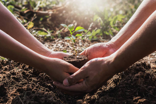 istock hand helping planting tree in garden. eco concept 1134251079