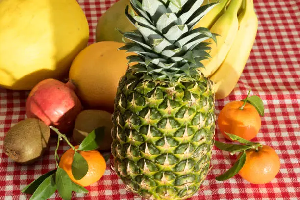 A pineapple and other, fresh fruits on a kitchen table