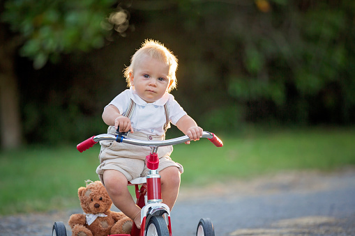 Cute toddler child, boy, playing with tricycle in backyard, kid riding bike on sunset