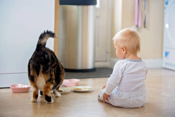 istock Cute boy, playing with cat at home 1134255699