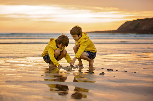 Two beautiful children, boy brothers, playing on the beach with sand and running in the water on sunset