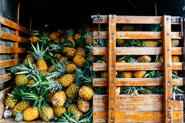 Ananas on a farmer truck in Colombia Ananas on a farmer truck in Colombia ananas stock pictures, royalty-free photos & images
