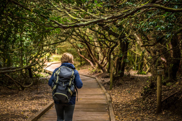istock Woman exploring a beautiful green forest 1134259329