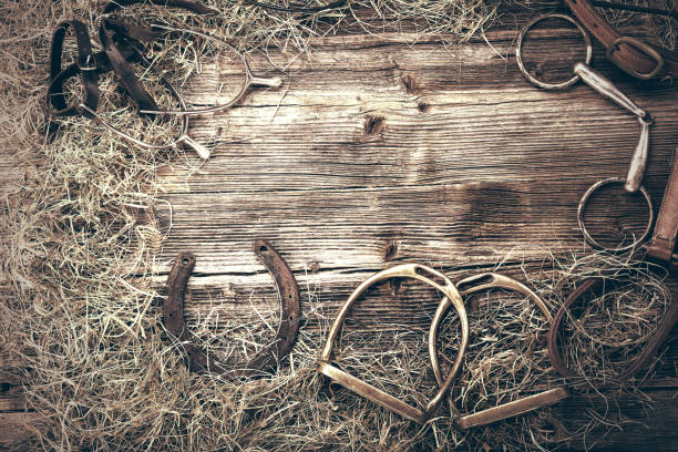 horse equipments on wooden background with empty space for text, close up vintage view - horse stall stable horse barn imagens e fotografias de stock