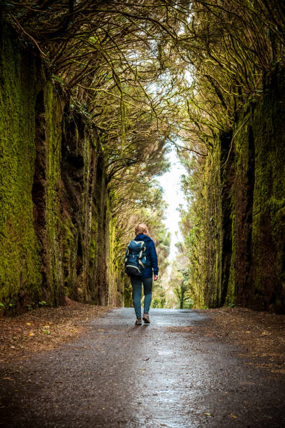 istock Woman exploring a beautiful green forest 1134260318
