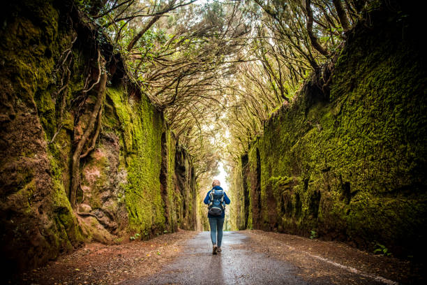 istock Woman exploring a beautiful green forest 1134260809