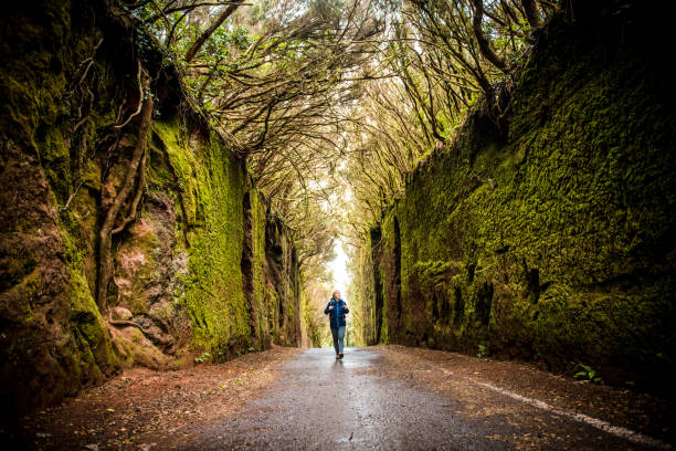 istock Woman exploring a beautiful green forest 1134260986