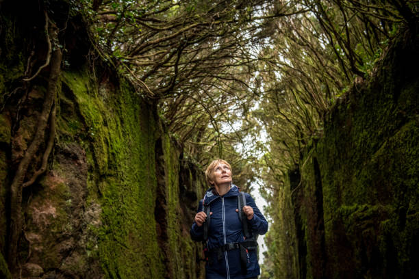 Woman exploring a beautiful green forest of Anaga, Tenerife National Park, Canary Island. Spain.