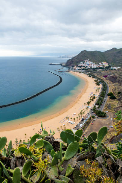 istock View of a beautiful Beach in Canary Island 1134261662