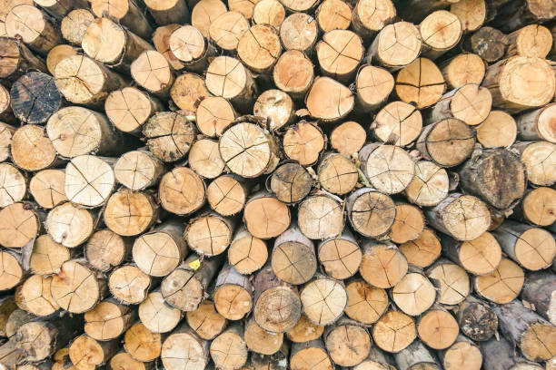 istock Dry firewood in a pile 1134269025