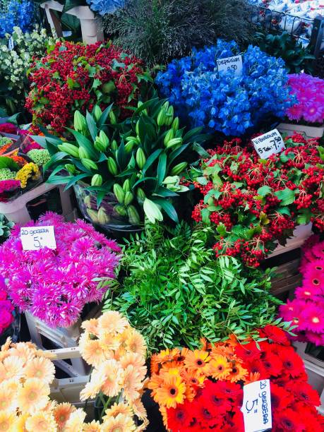 istock Beauty in colors 1134270133