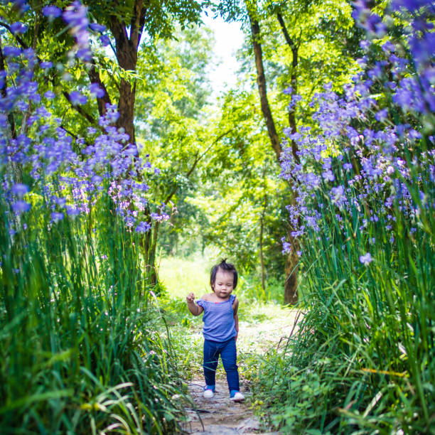 Adorable toddler girl with curly hair wearing a yellow dress playing with purple bluebell flowers in a sunny spring forest on a warm evening with beautiful sunset