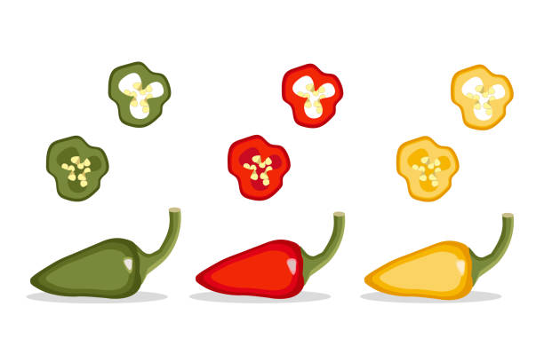 ilustrações de stock, clip art, desenhos animados e ícones de pepper pod vector illustration set. vegetable isolated object full and slices red, green, yellow pepper. - pod