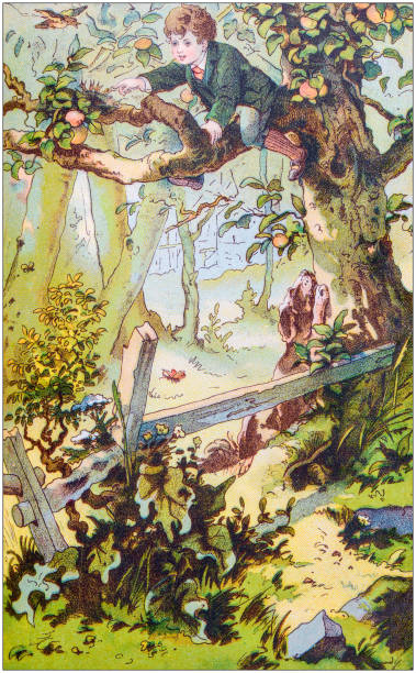 antyczne kolorowe ilustracje z niemieckiej książki bajkowej dla dzieci - tree book apple apple tree stock illustrations