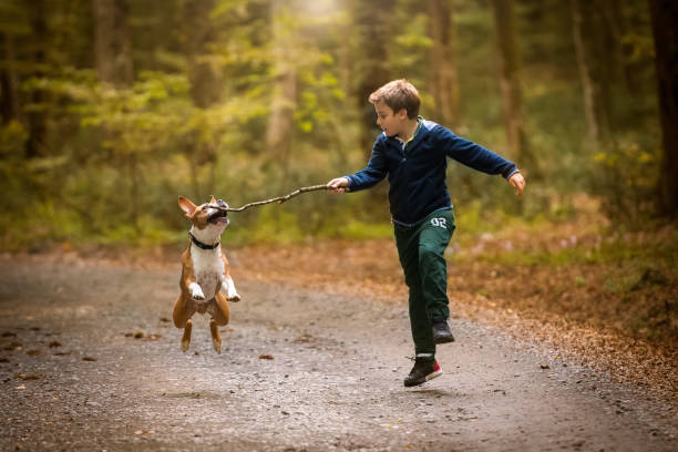 istock Kid and his dog playing in the woods. 1134276763