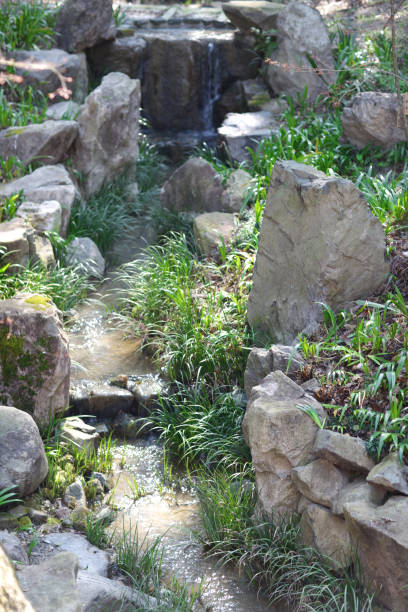 istock Waterfall in japanese garden 1134276847