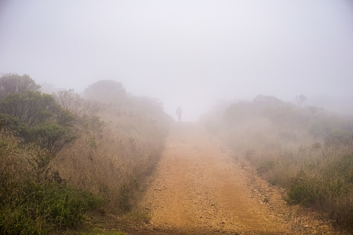Silhouette of a runner in the Headlands area of Golden Gate National Recreation Area on a foggy summer day, Marin County, California