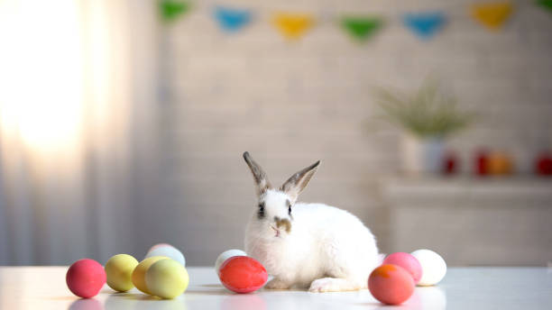 istock Adorable rabbit sitting on table with colorful eggs, Easter symbol, holiday 1134287897