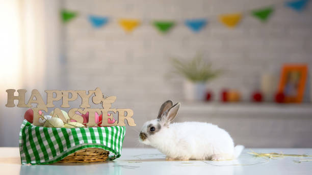 istock Colorful eggs basket with cute Easter rabbit on table, holiday greeting, animal 1134288025
