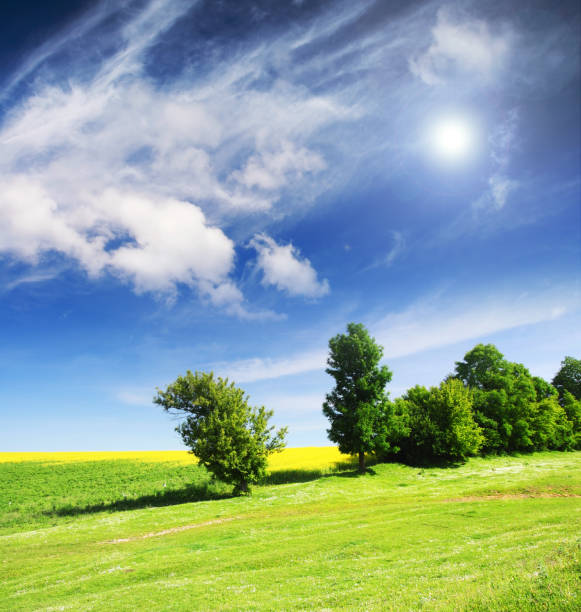 istock summer meadow and the beautiful blue sky 1134288384