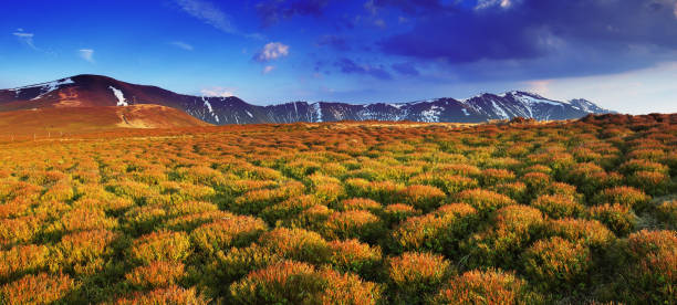 istock Beautiful mountains landscape and cloudy sky 1134289388