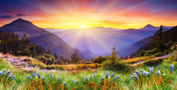 istock Majestic sunset in the mountains landscape. 1134289592