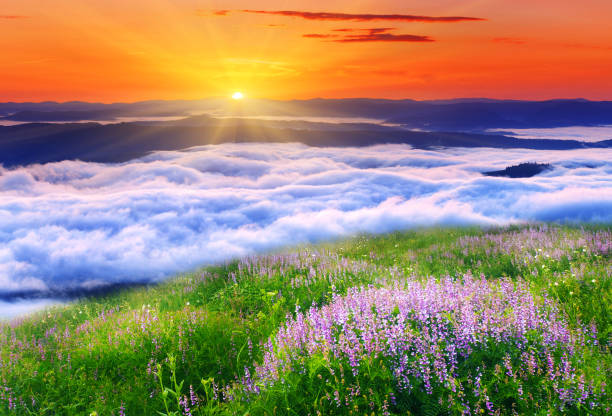 istock Landscape with mountains under morning sky with clouds 1134289872