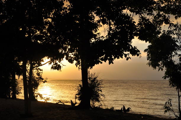 istock Poso lake in Sulawesi 1134291101