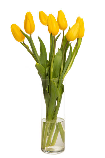 istock Vase Filled With Yellow Tulips 1134298741