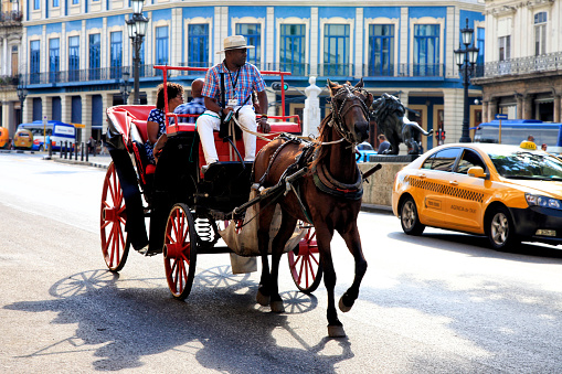 Havana, Cuba - January 11, 2019 : horse carriage in tourist tour through the colonial part of the old Havana very typical in the streets of Havana since the Cuban government started the international tourism industry. Havana. Cuba. January 11, 2019