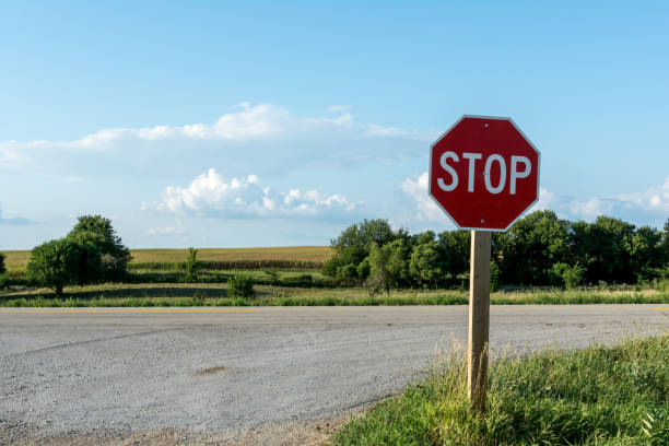 istock Rural stop sign on a dirt road. 1134304881