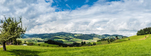 파노라마,에 멘 탈, 베른 주, 스위스 - berne canton switzerland landscape travel 뉴스 사진 이미지