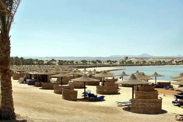 Photo of Tourists back to egypt resorts. Red sea beach with umbrella. Blue sky and big waves