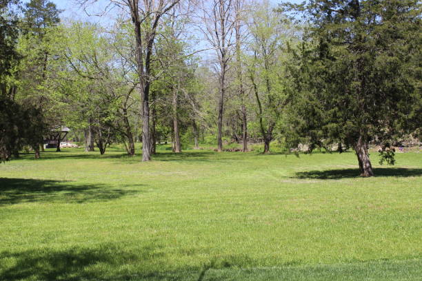 istock Open Space in Wildlife Conservation Area in Missouri in Springtime 1134313807