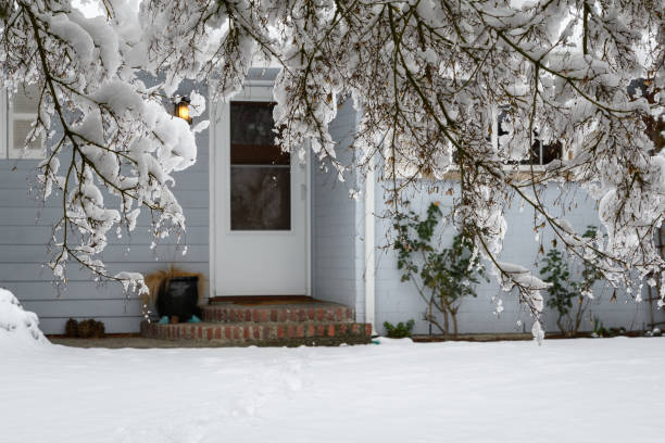 istock Winter wonderland 1134317572