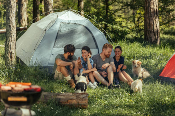 istock Double dating in nature 1134317753