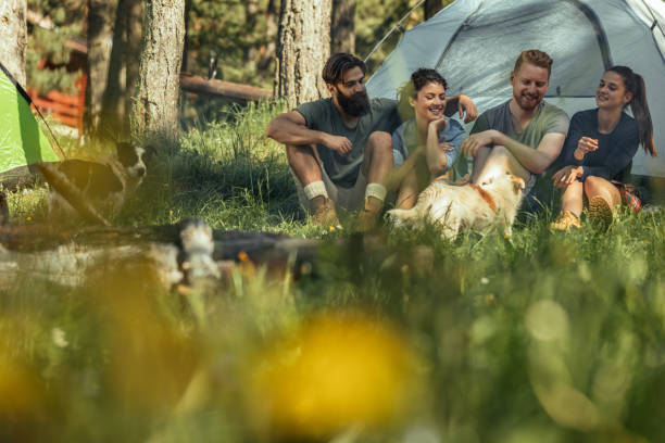 istock We brought our best friend along with us 1134317754