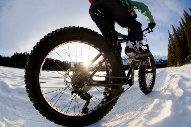 istock Winter Fatbike Rider 1134319598