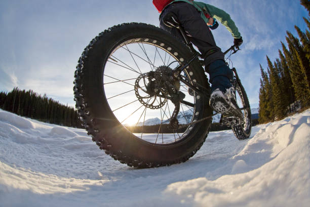 istock Winter Fatbike Rider 1134319600