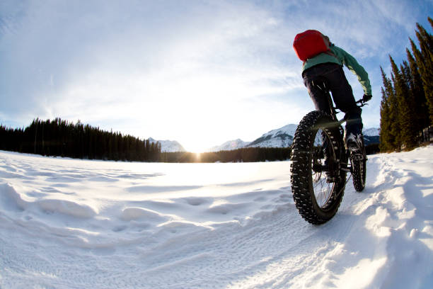 istock Winter Fatbike Rider 1134319670